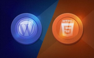 WordPress Theme Vs Custom Website: What Is Right for Your Business?